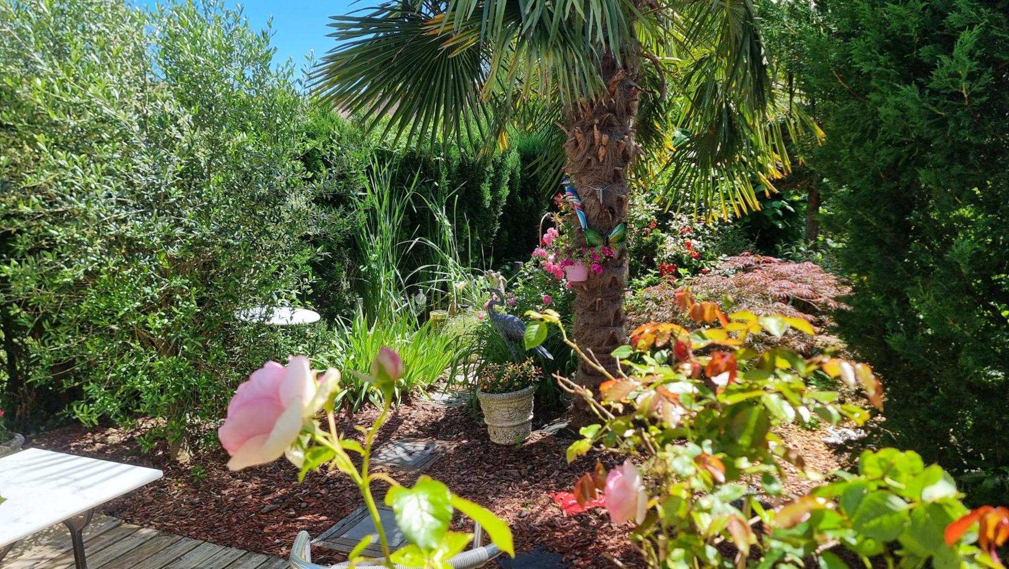 Studio Mil Roses Ande Exterior photo